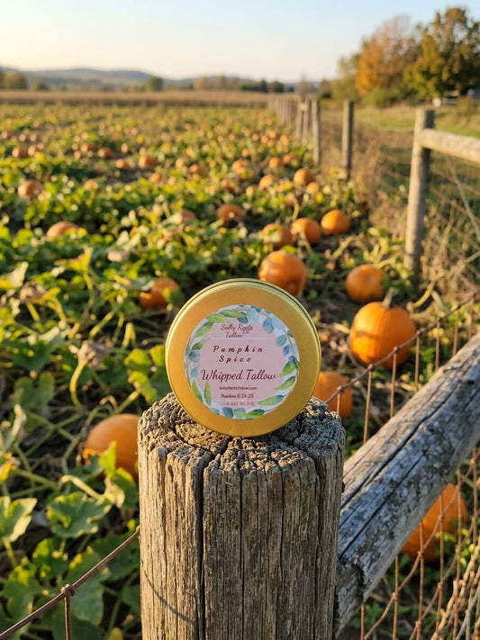 Pumpkin Spice Whipped Tallow Cream